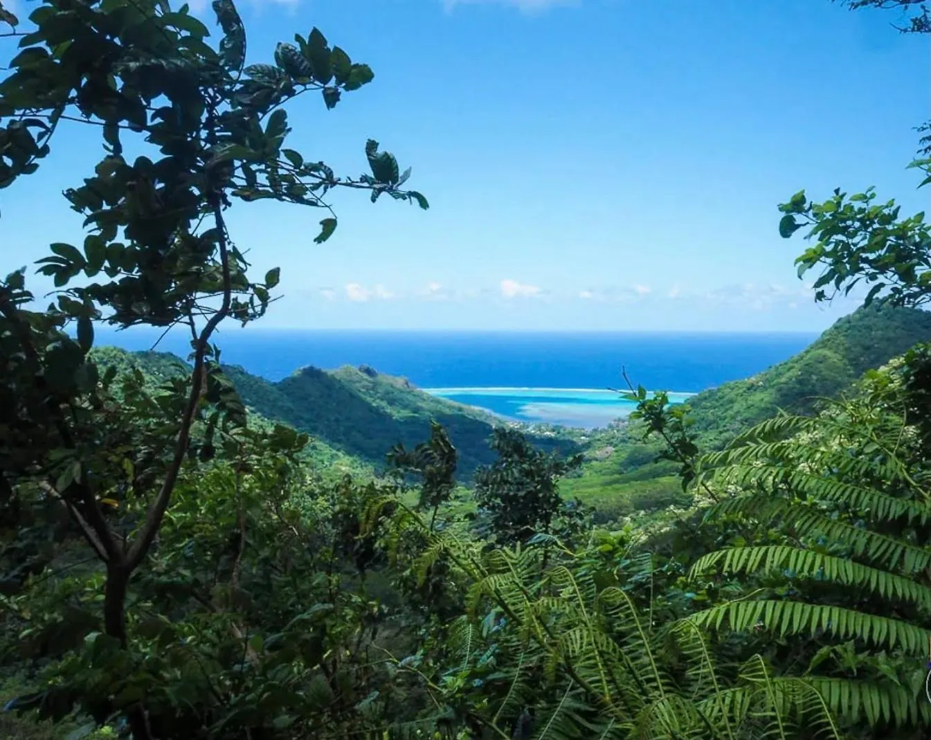 Villa Fare Juliette à Moorea Polynésie française